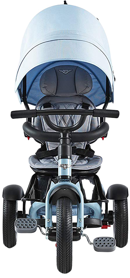 The Bentley 6-in-1 Stroller/Trike – BentleyTrike